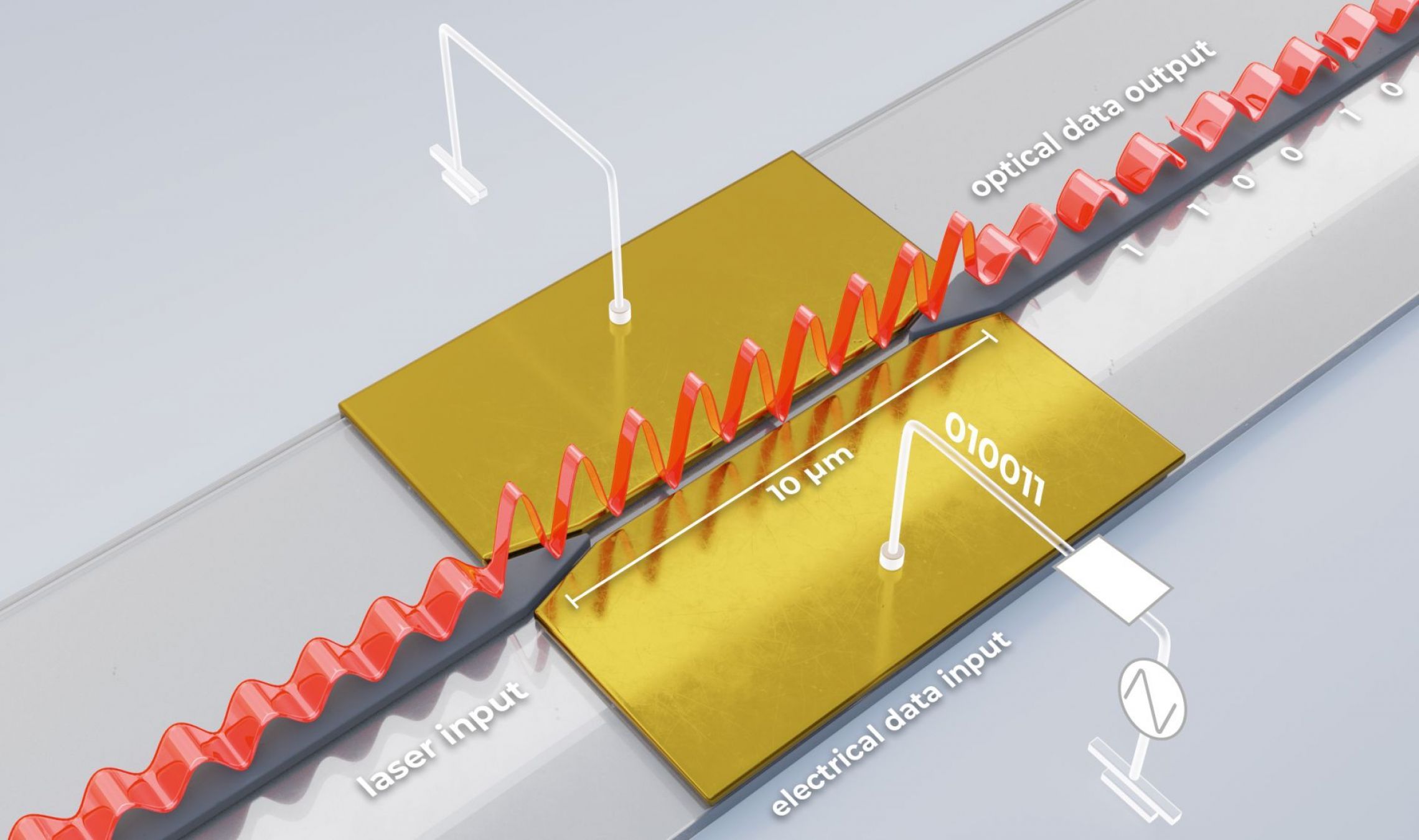 Functional principle: In this manner a plasmon moves along a slotted waveguide on a silicon chip. 