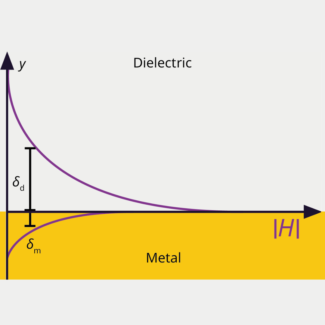 Schematic illustration of SPP_ electromagnetic wave and surface charges at the metal-dielectric interface.