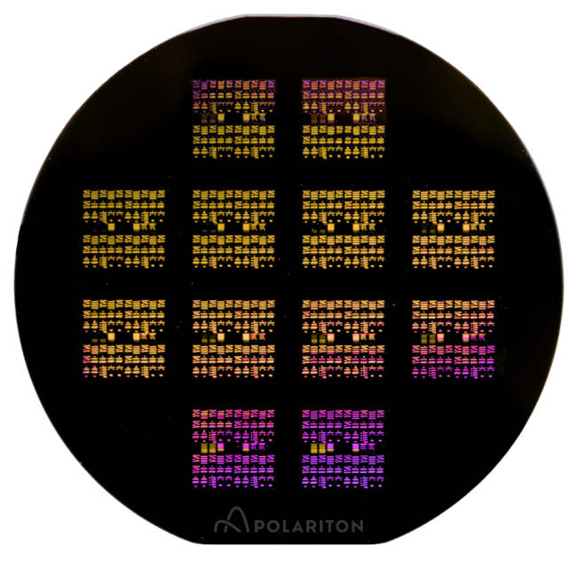 Polariton Technologies chip Logo